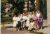 198807_Chorzow Batory_Bajany.jpg